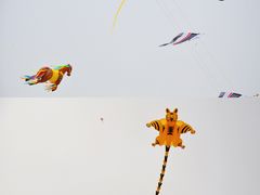 -潍坊滨海云门国际风筝放飞场