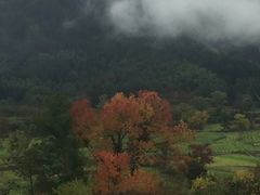 -塔川景区