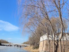-马家湾湿地公园