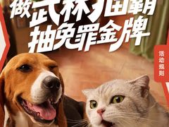 -金太狼4k国际影城