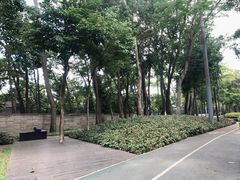 -福田红树林生态公园