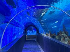 -成都浩海立方海洋公园