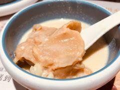 花膠燉杏汁鮮奶-汤直送(中港中心店)