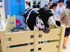 -红星前进面包牛奶公司(君太店)