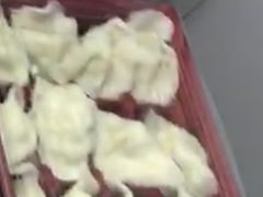 -东方饺子王(重庆路亚泰店)