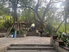 -胡里山炮台
