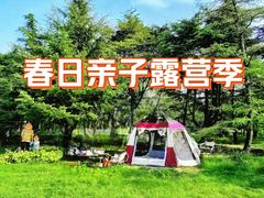 -泰丰公园
