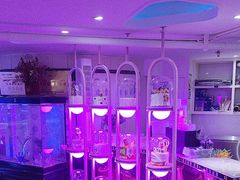 -巴特餐饮6加1音乐餐吧·新疆菜