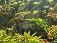 -吴山花鸟城-停车场