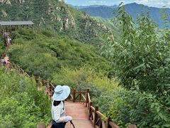 -大岭沟猕猴桃谷风景区
