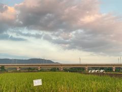 -光明小镇欢乐田园