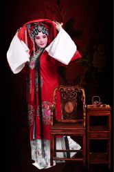 -胭脂猫京剧摄影