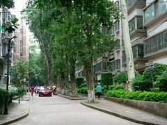 -中山大学学者灵芝(园南路店)