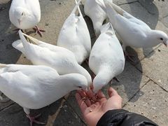 -南宫五洲植物乐园