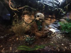 -成都浩海立方海洋公园