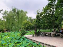 -莲湖公园