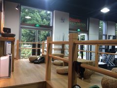 -BiM综合体能训练中心(漕河泾绿洲馆)