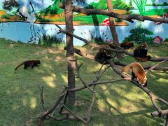 -西霞口神雕山野生动物世界