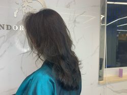 -潘多拉Hairsalon