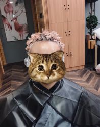 -尚·丹尼Hair