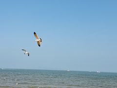 -八仙过海景区
