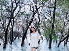 -宝安西湾红树林湿地公园