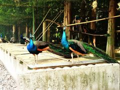 -南京金牛湖风景区