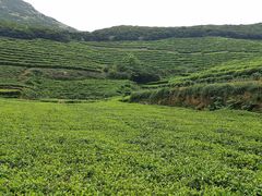 -嵛山岛