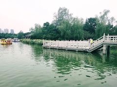 -莲湖公园