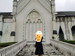 -紫颐香薰山谷景区