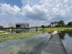 -洋湖国家湿地公园