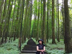 -武陵山森林公园