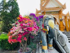 -云南勐巴娜西珍奇园