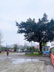 -成都市妇女儿童中心医院(中心院区)