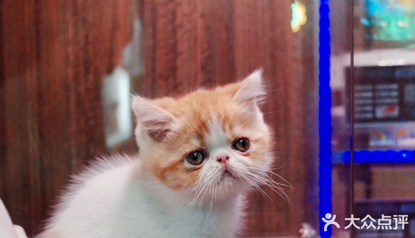 深圳文和友开业第二天打卡超实用经验[礼花]