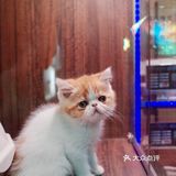 深圳文和友开业第二天打卡超实用经验[礼花]