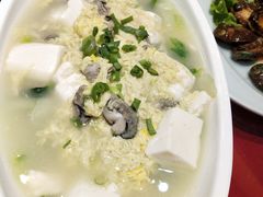 -青岛美食鲁菜大酒店