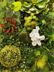 点击看大图 -丹漪·DANYI 美肤中心