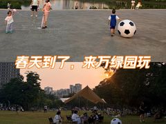 -万绿园