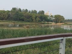 -西安浐灞国家湿地公园