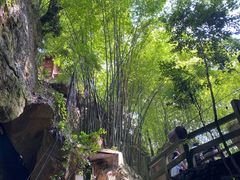 -寻龙山风景旅游区