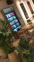 -Mentor Hair Salon