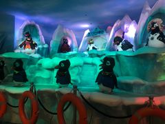 -帝企鹅自助餐厅•儿童岛•真企鹅(长隆企鹅酒店)