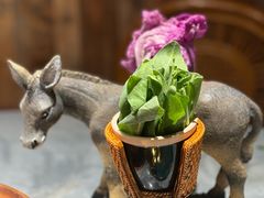 -慢丽江·云南野生菌土鸡锅(付家庄店)