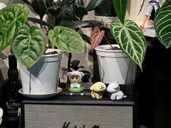 -Dogi&kiki Coffee(中心商务大厦店)