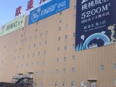 -欧亚汇集(飞跃路店)