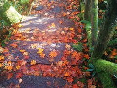 -龙苍沟森林公园