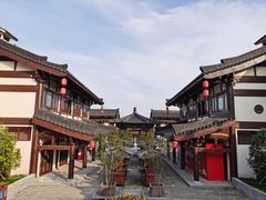 -大唐贡茶院
