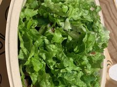 -油梨树 AVOCADO TREE(亮马桥店)