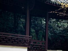 -十八棵（老龙井）御茶园(老龙井店)